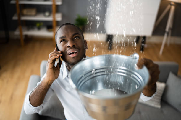 Best Water damage contractors near me  in Pearisburg, VA