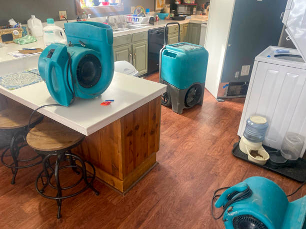 Best Sewage cleanup and water damage restoration  in Pearisburg, VA