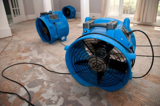 Best Basement water damage restoration  in Pearisburg, VA