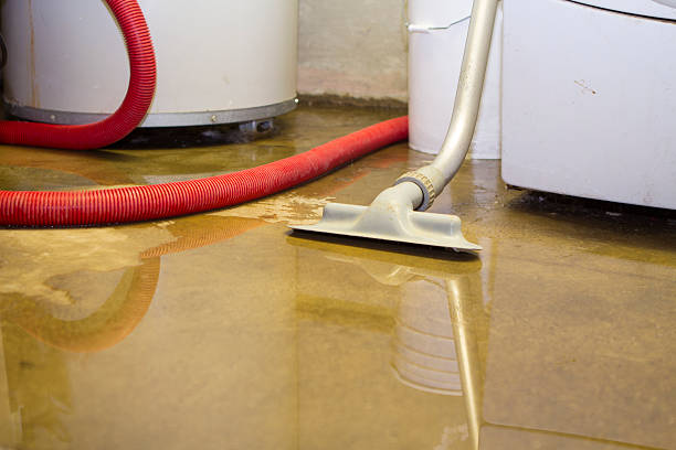 Best Sewage cleanup and water damage restoration  in Pearisburg, VA