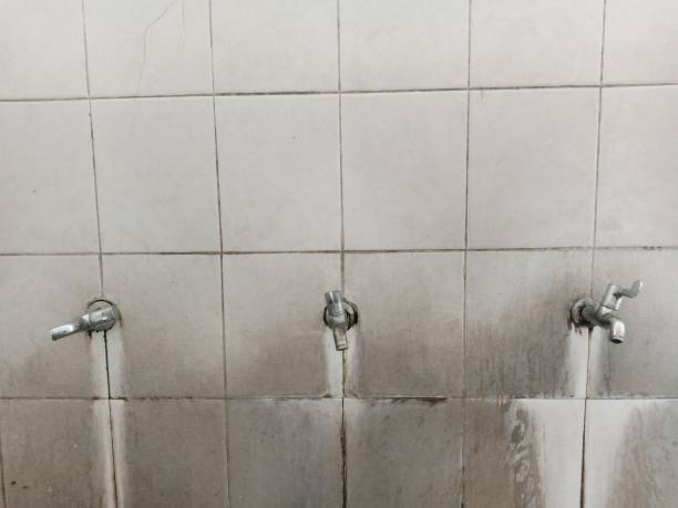 Best Sewage cleanup and water damage restoration  in Pearisburg, VA