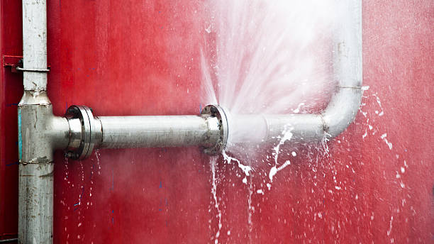 Best Sewage cleanup and water damage restoration  in Pearisburg, VA