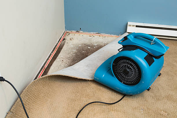 Best Emergency water damage restoration  in Pearisburg, VA