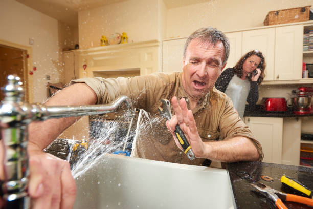 Best Flooded house restoration  in Pearisburg, VA